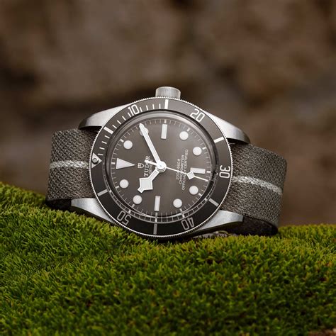 tudor silver watch|tudor watch cost.